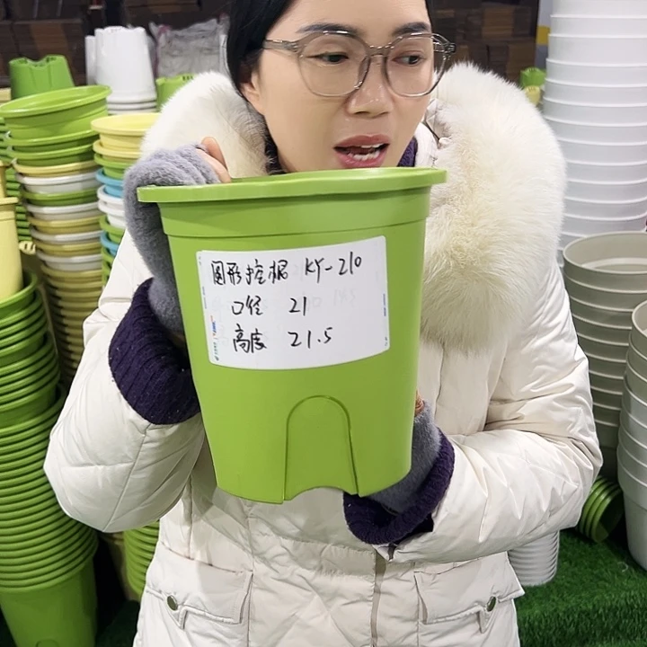 正品圆控口21高21果绿色无托8只