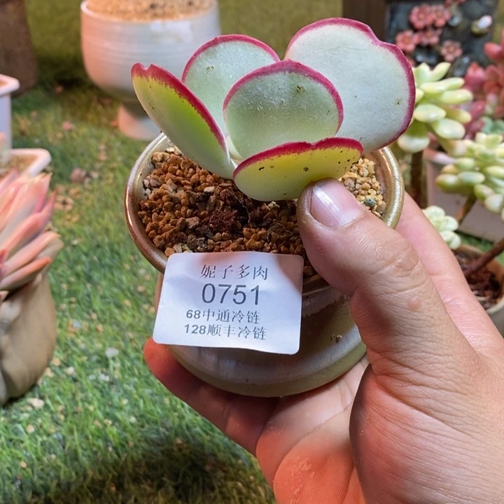 0751啊啊啊啊啊啊啊啊啊啊