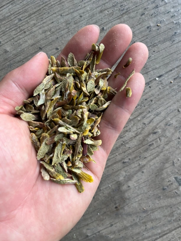 【彭彭先収山货】高-山-悬-崖-米-斛-500g-1000g-滋补营养品