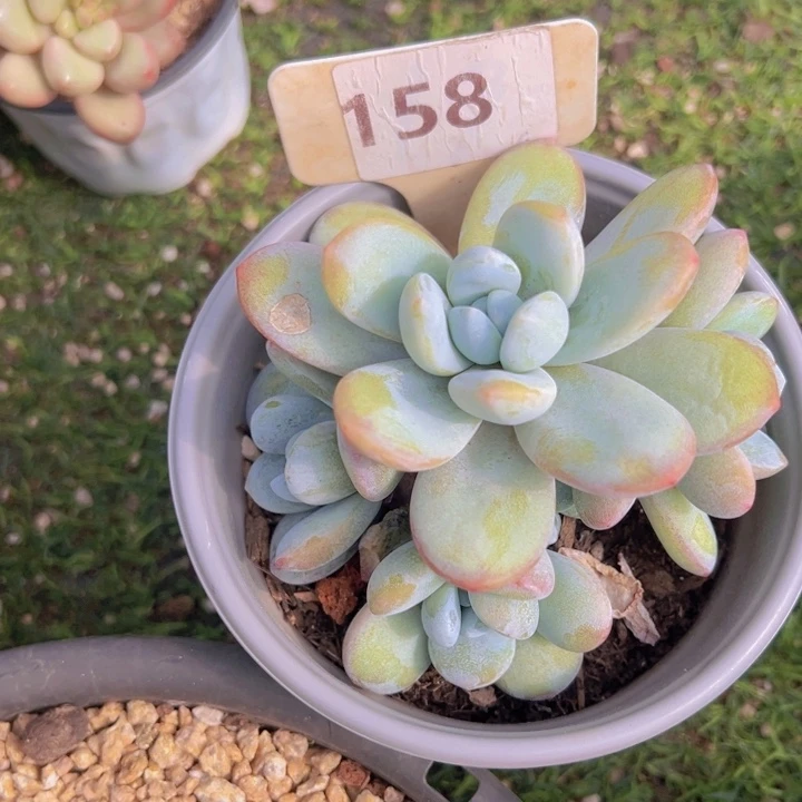 健健康康平平安安