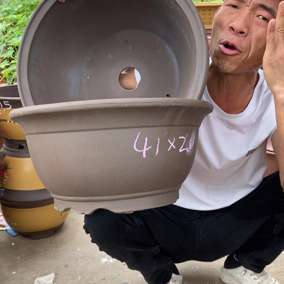 紫砂紫砂紫砂紫砂