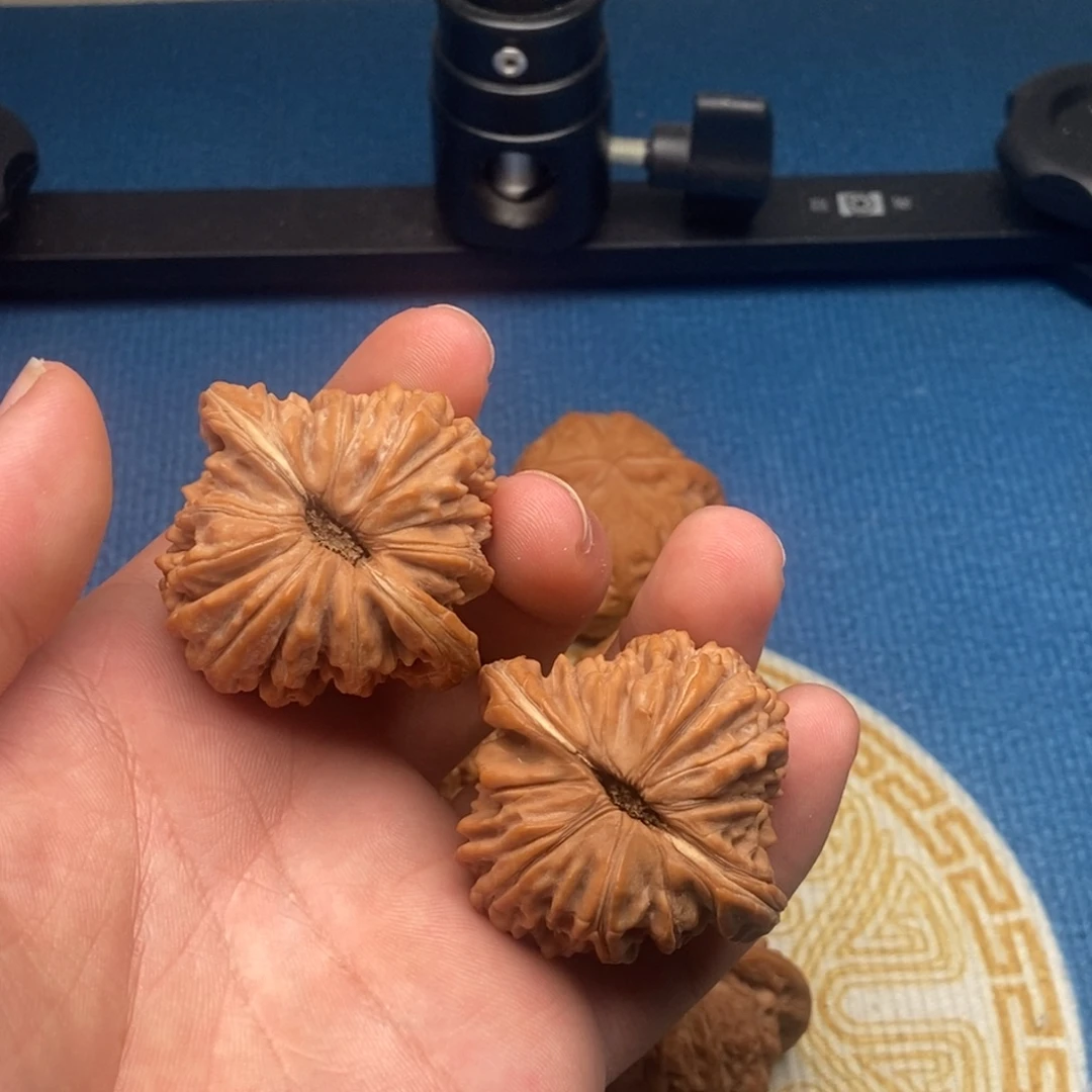 核桃极品楼王毕业