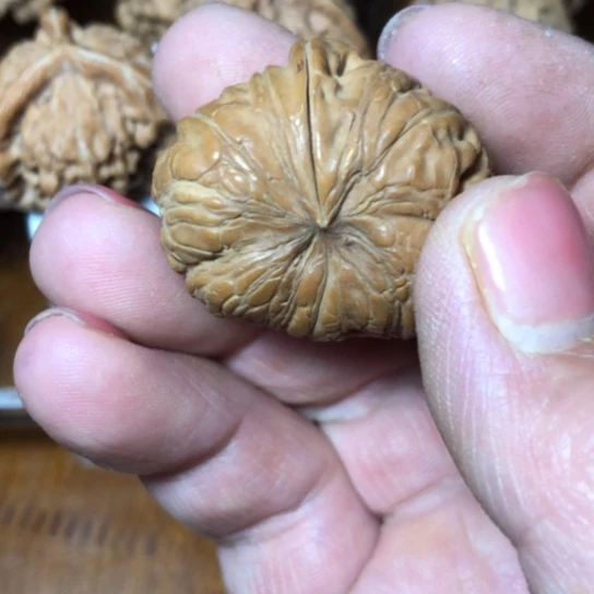 晨*文玩核桃元宝