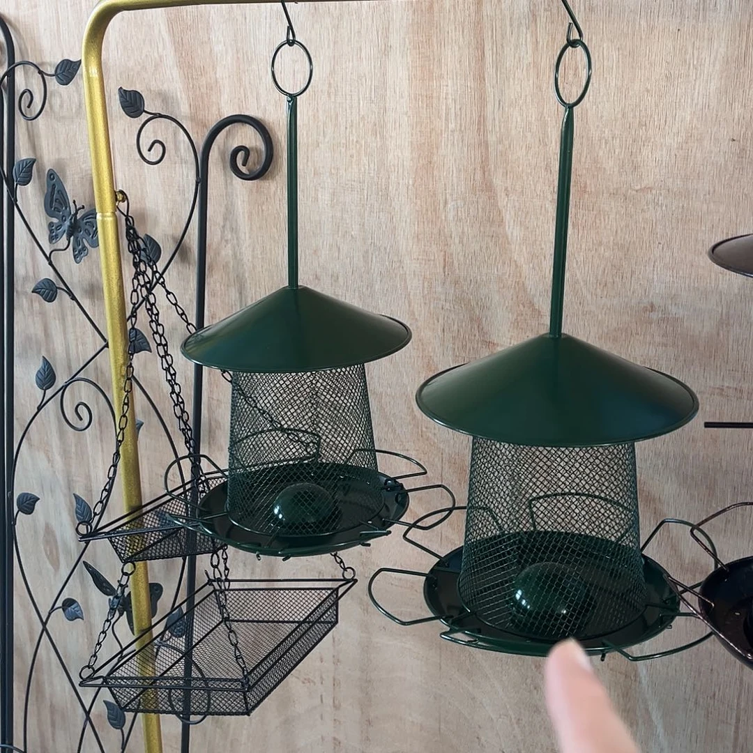 孤品炸炸炸炸炸炸