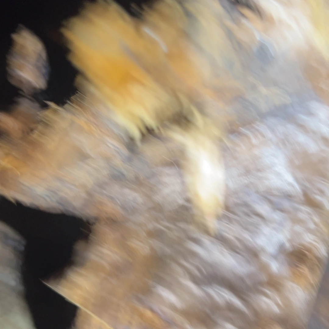 楠木海****民2222222222222