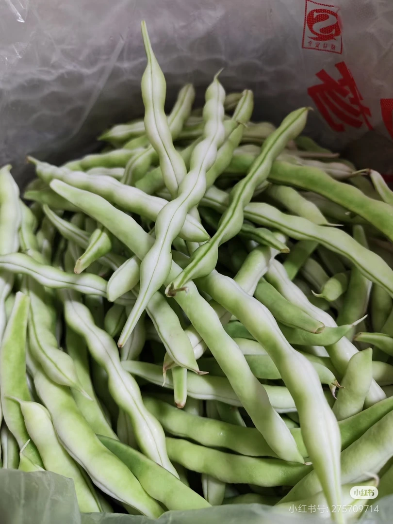 四季豆重庆高山农家种植四季豆当天采摘新鲜发货