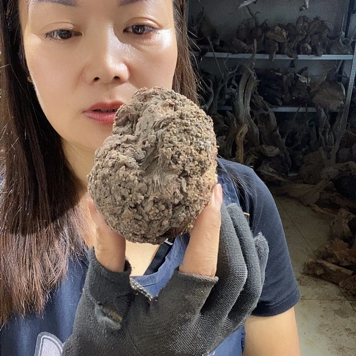 文玩核桃吊坠江****｝哈哈哈哈哈哈哈哈哈哈