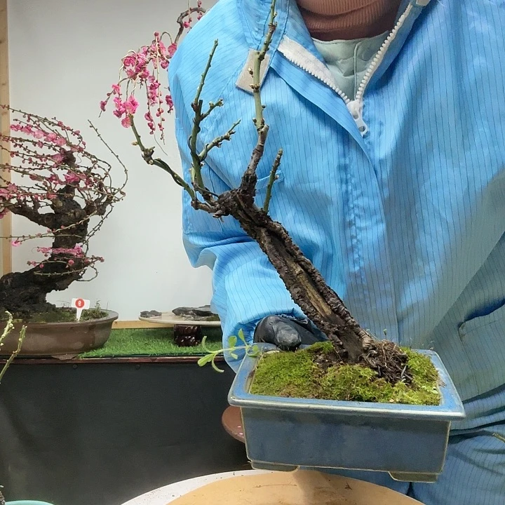 柠****无花朵发干活呢就健康