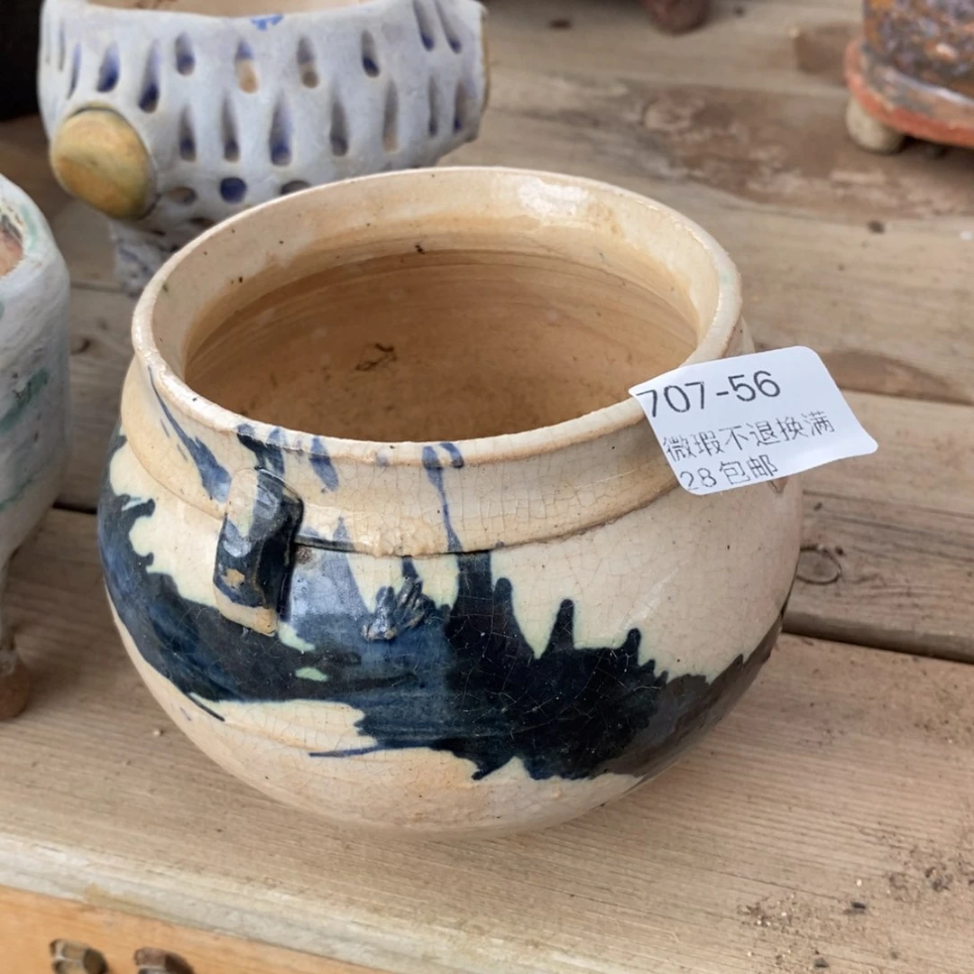 56号口径8一卌的多肉盆