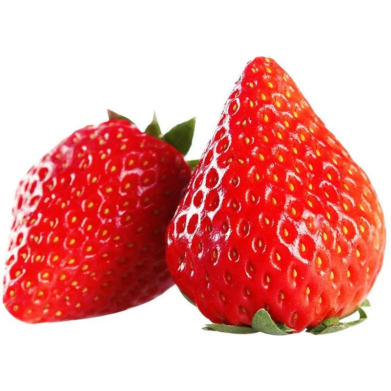 【丹东九九草莓】草莓（盒/带盒1.8-2斤）24颗