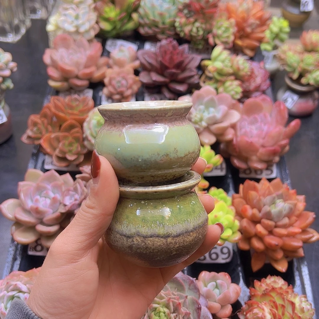 无铅玻璃7****花钱花钱花钱花钱