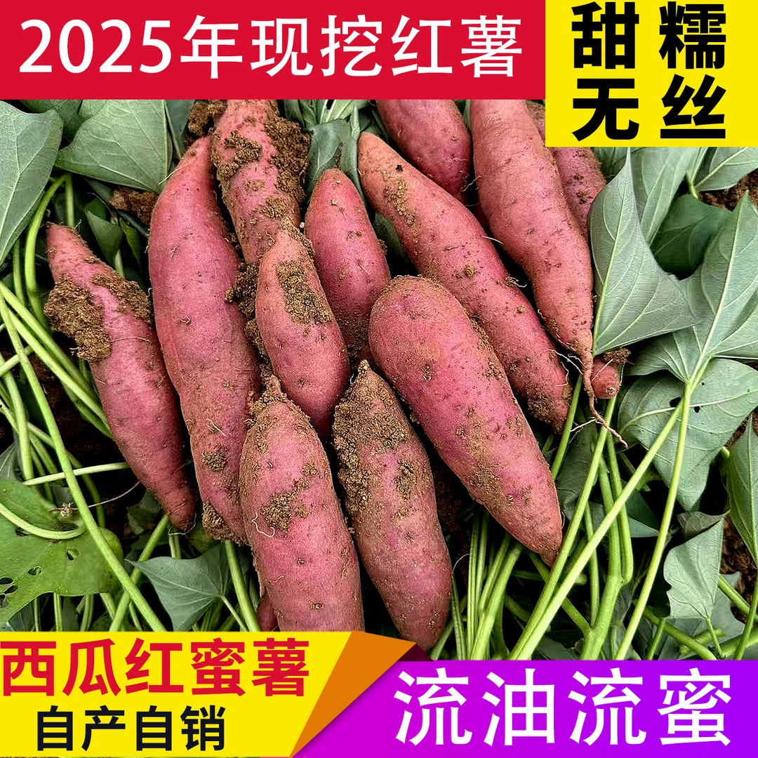 2025年新正宗西瓜红蜜薯云南新鲜现挖糖心板栗番薯10斤农家自种