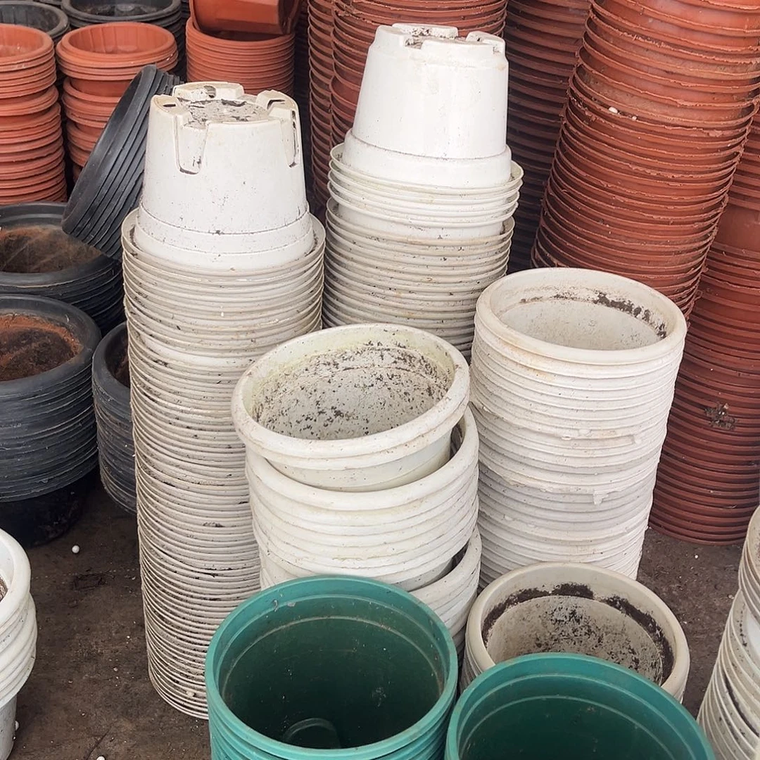 旧口径15高10白圆盆40个