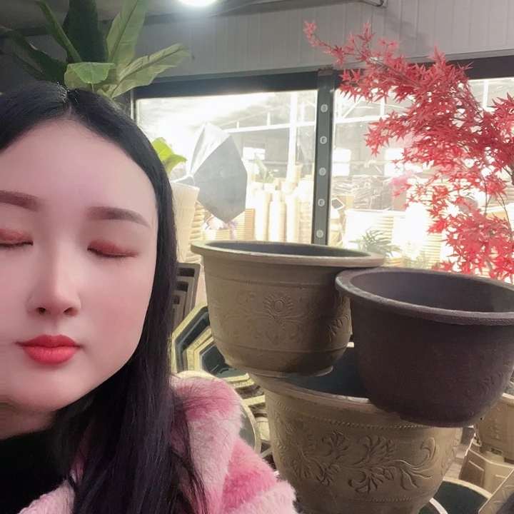 复合~**~盆景制作方法就是