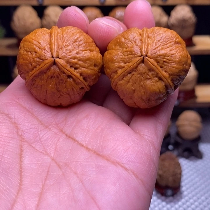 木质类云铁小八一109号