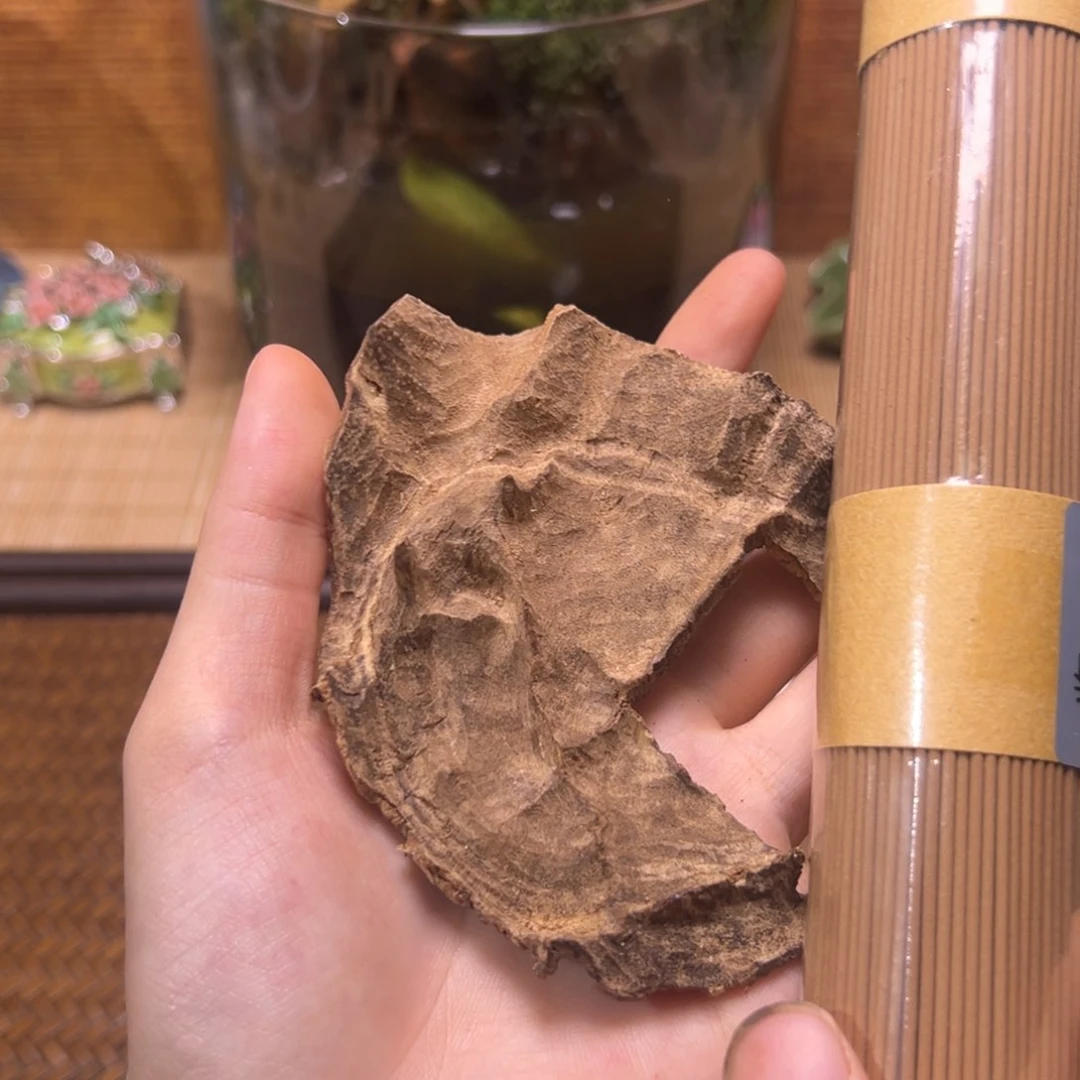 海南尖峰岭淳化老包壳11克福利