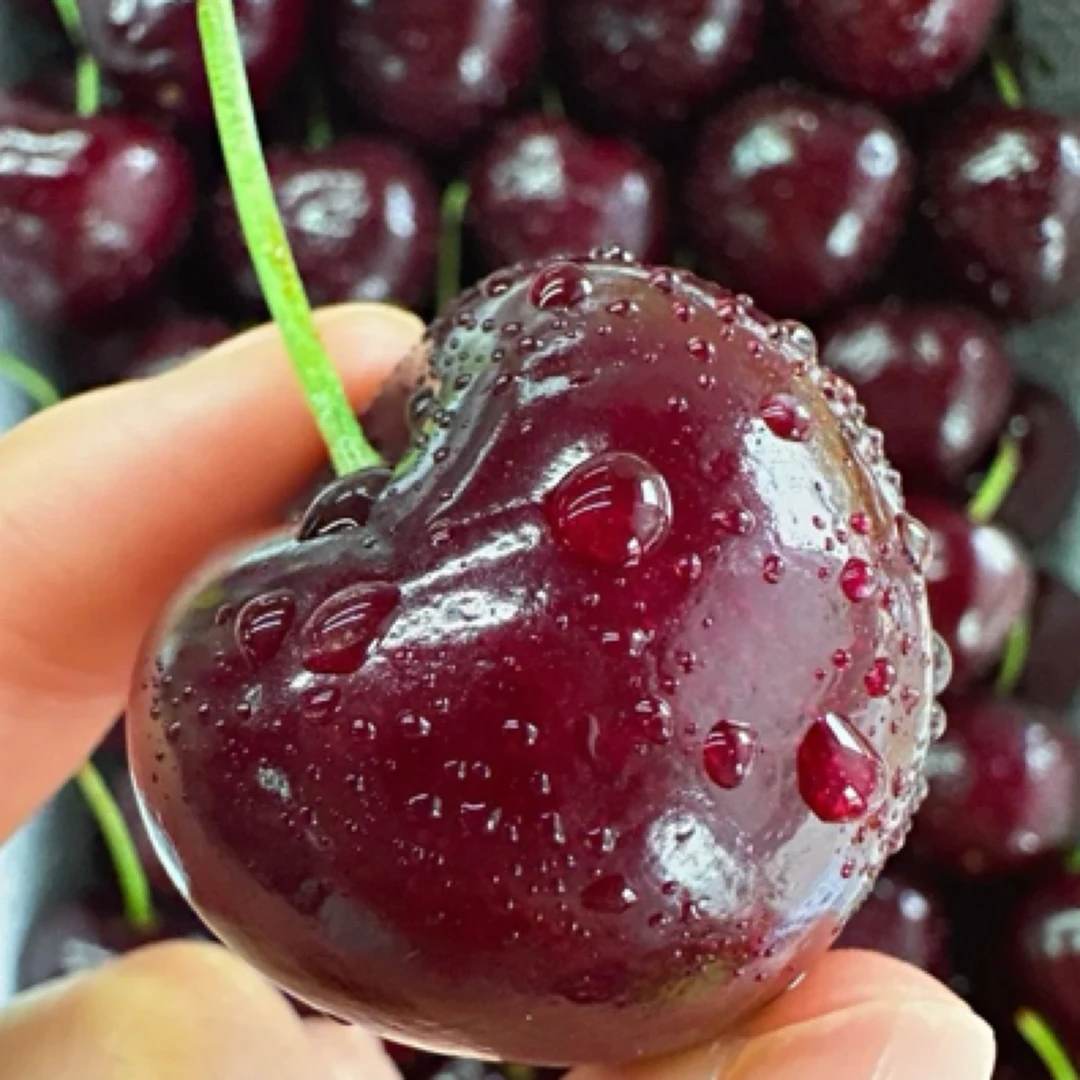 瑞吉纳4J车厘子5斤