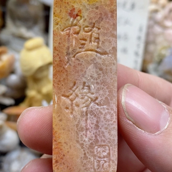 颈饰未镶嵌硅化珊瑚（珊瑚玉）