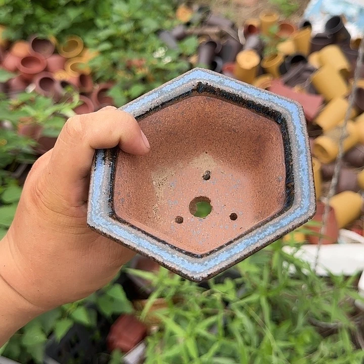 在这里可以说我们可以一起分享一些生活