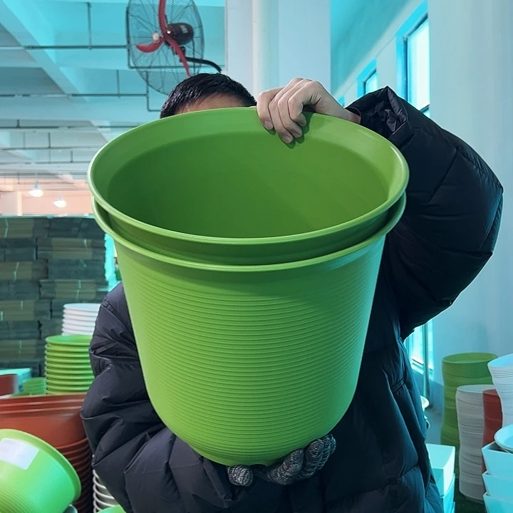 正品高陶口36高36果绿无托2只