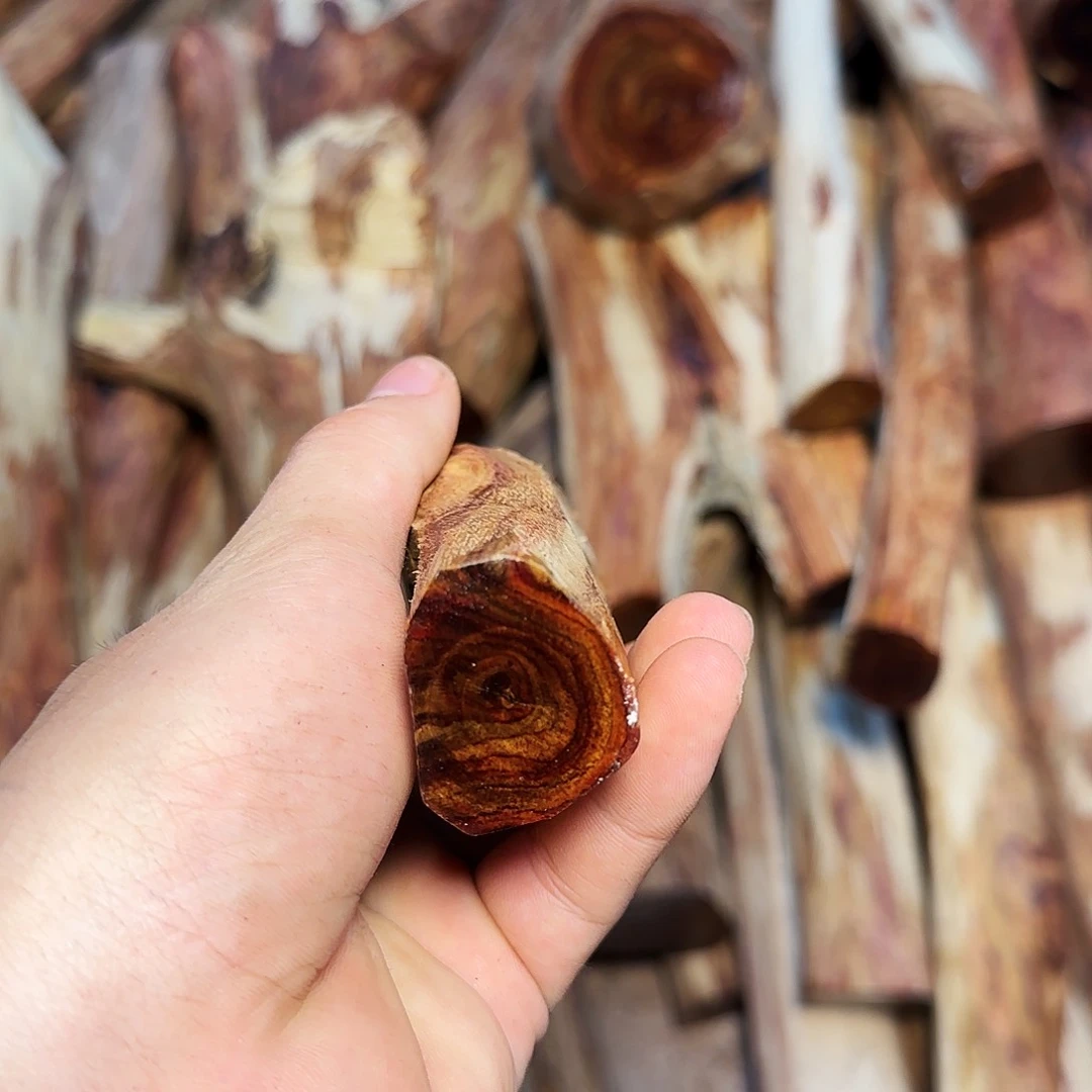 黄花梨/降香黄檀高****1