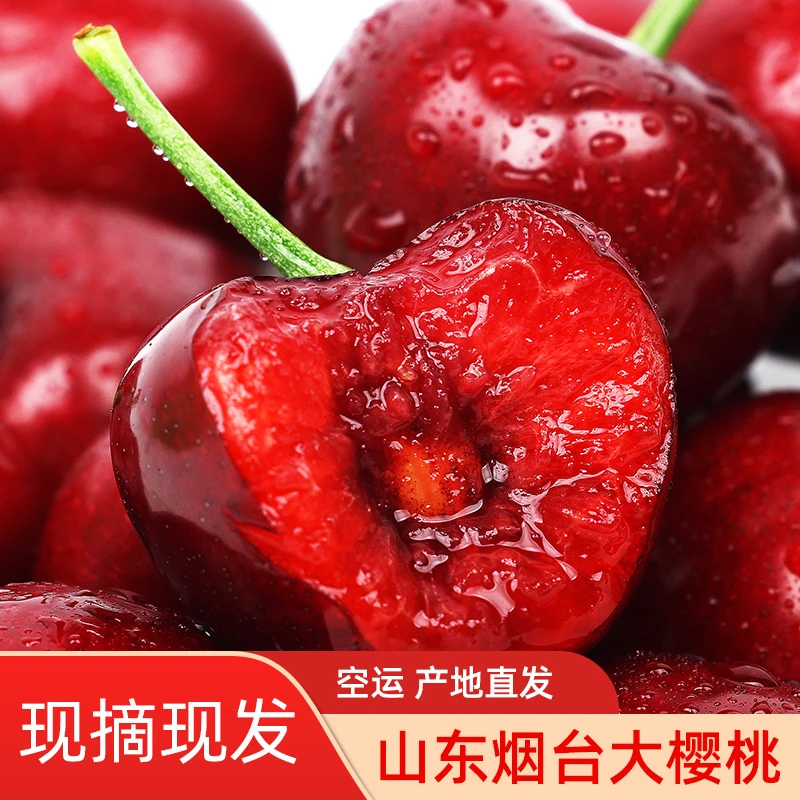 【顺丰包邮】优选烟台大樱桃早上树上现摘晚上发顺丰空运5斤装