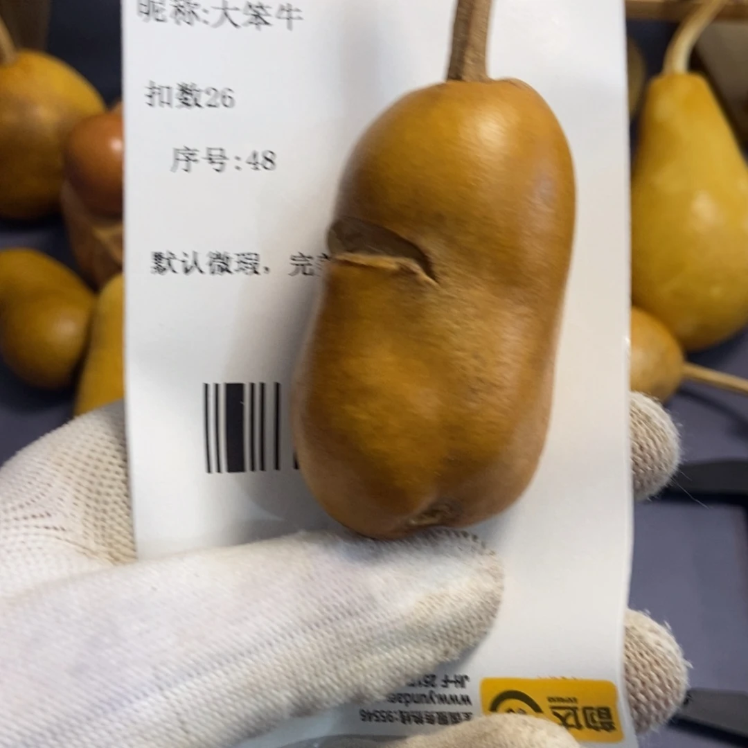 大*牛哈哈哈哈哈哈哈哈哈