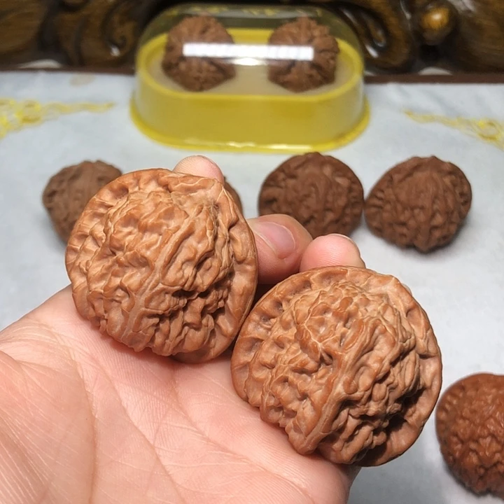 文玩核桃41.5白狮子