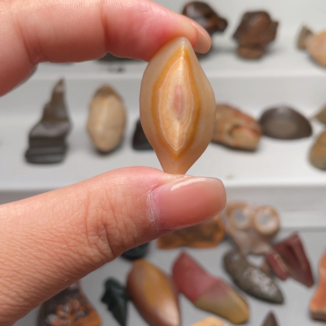 有机玻璃阿拉善家具摆件