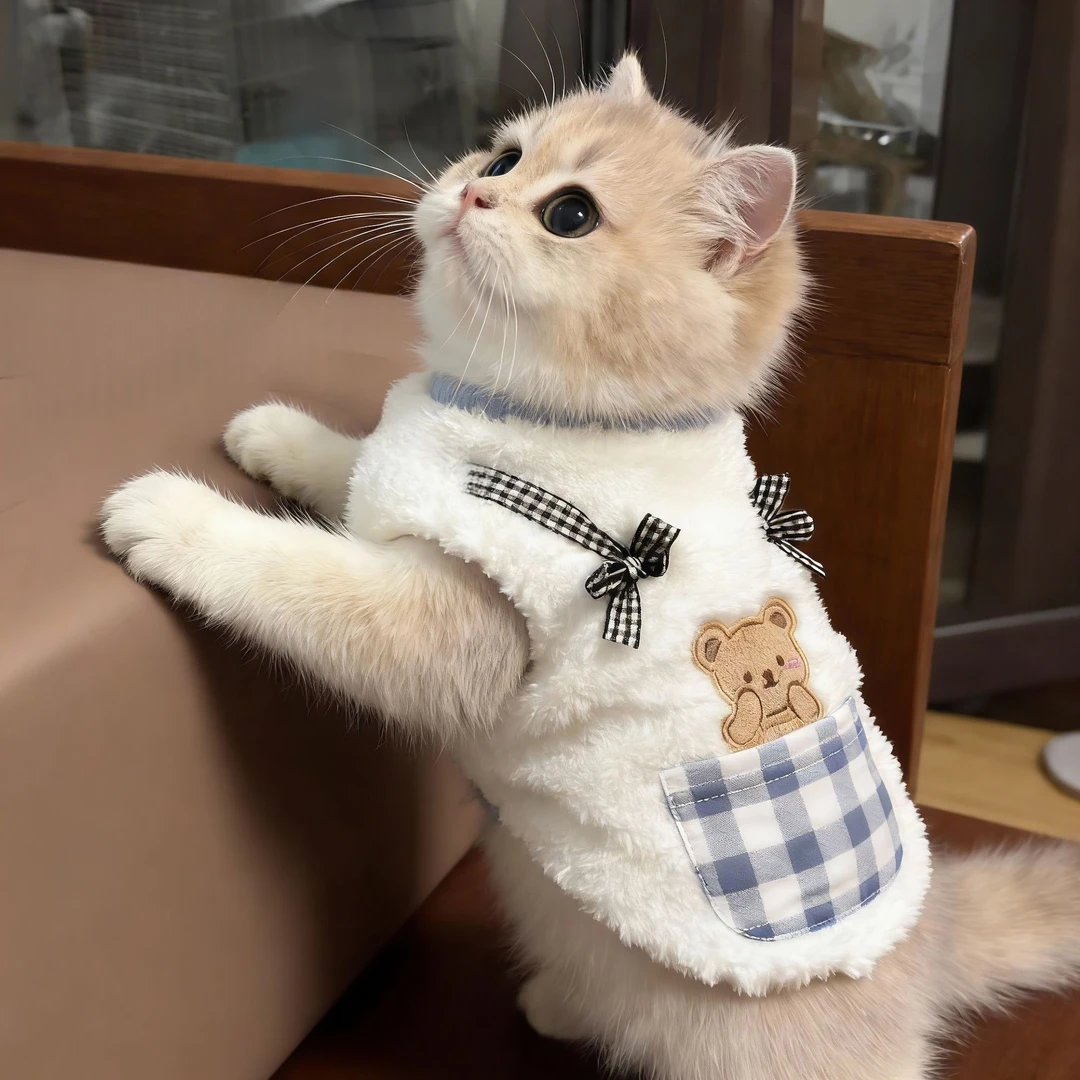 小猫衣服秋冬可爱口袋熊毛绒背心蓝金布偶英短猫咪防掉毛保暖衣服