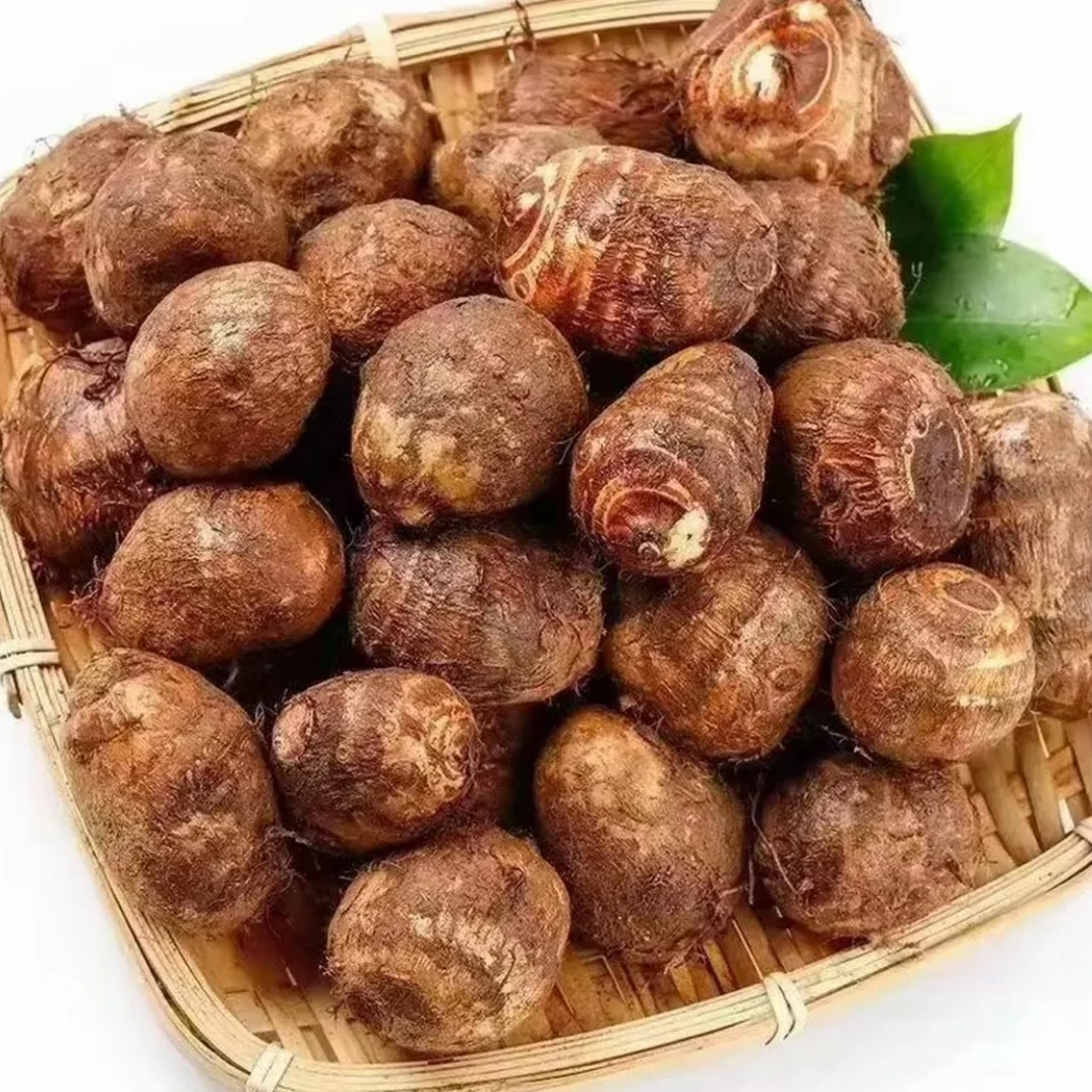 2025年自己家现挖的牛奶芋头 粉糯香甜