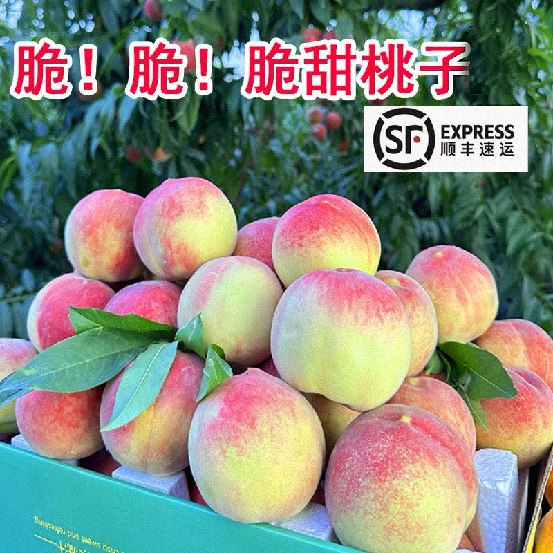 【顺丰快递】山西运城临猗县红不软脆蜜桃现摘现发产地直发坏果包赔