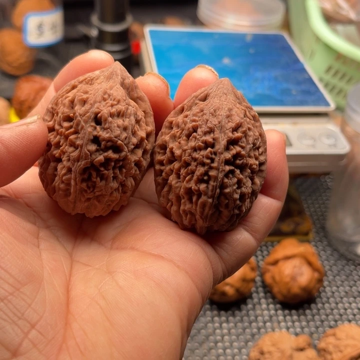 桃核把件全品大蒜头边37肚42