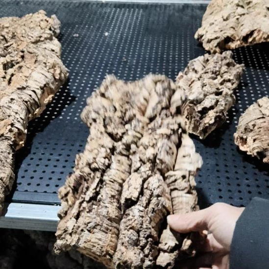 B***a完全开放顺顺利利，顺顺利利