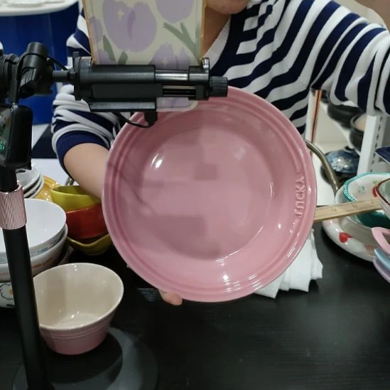 瓷高温瓷釉下彩菜盘