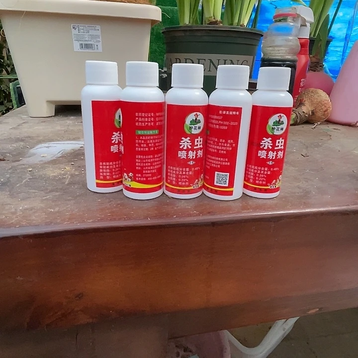 直播间1号补充装5瓶