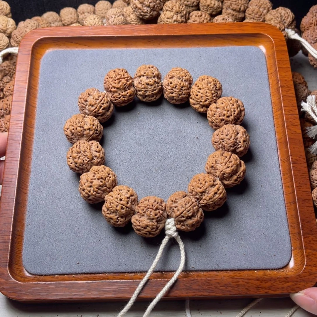 菩提籽类25号金刚菩提满肉飞碟梅花23.5/24