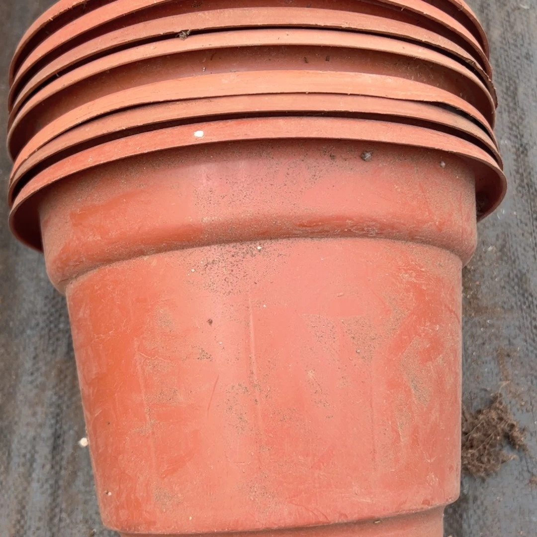 红圆盆23.5口径17高 7个