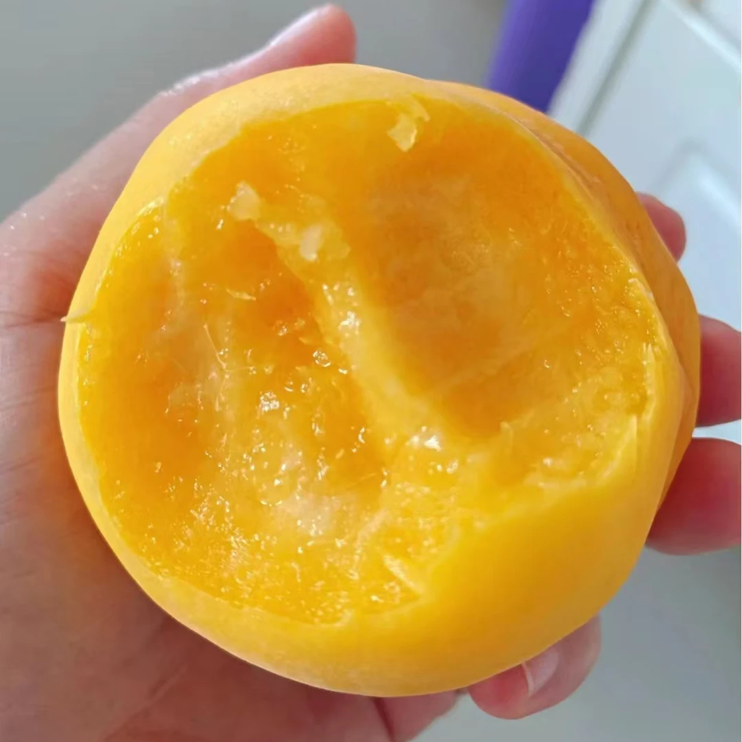 山东蒙阴黄金蜜黄桃新鲜水果毛桃子当季现摘水果整箱黄肉首单优惠