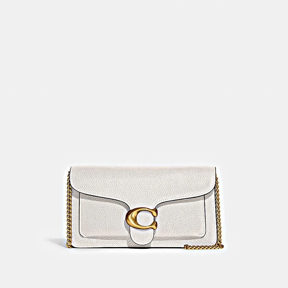 【银泰百货WL】蔻驰女士经典TY 21号金属链条斜挎包CE772