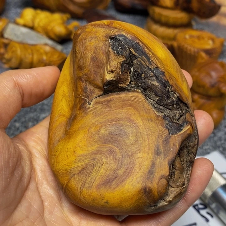 柏木（崖柏）崖柏113