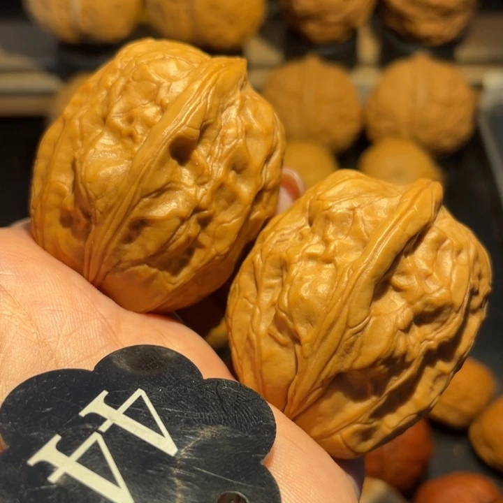 盘龙佛手核桃尺寸36