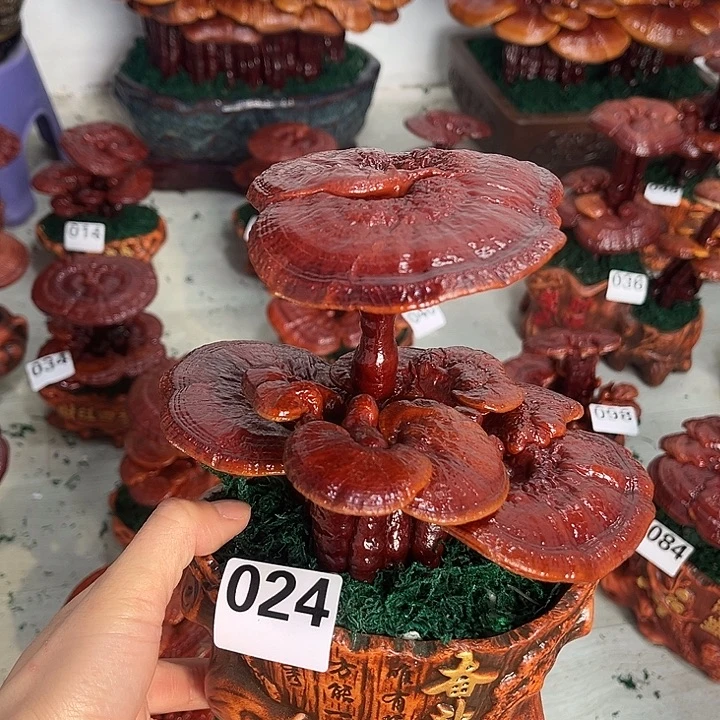 全部花朵0888888888888888888