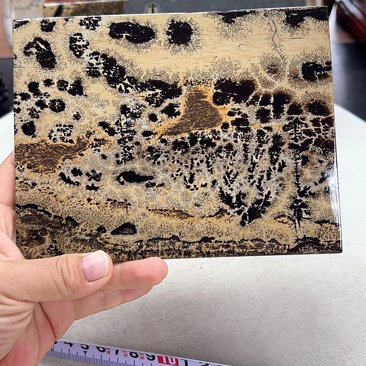 广西石广西天然国画石