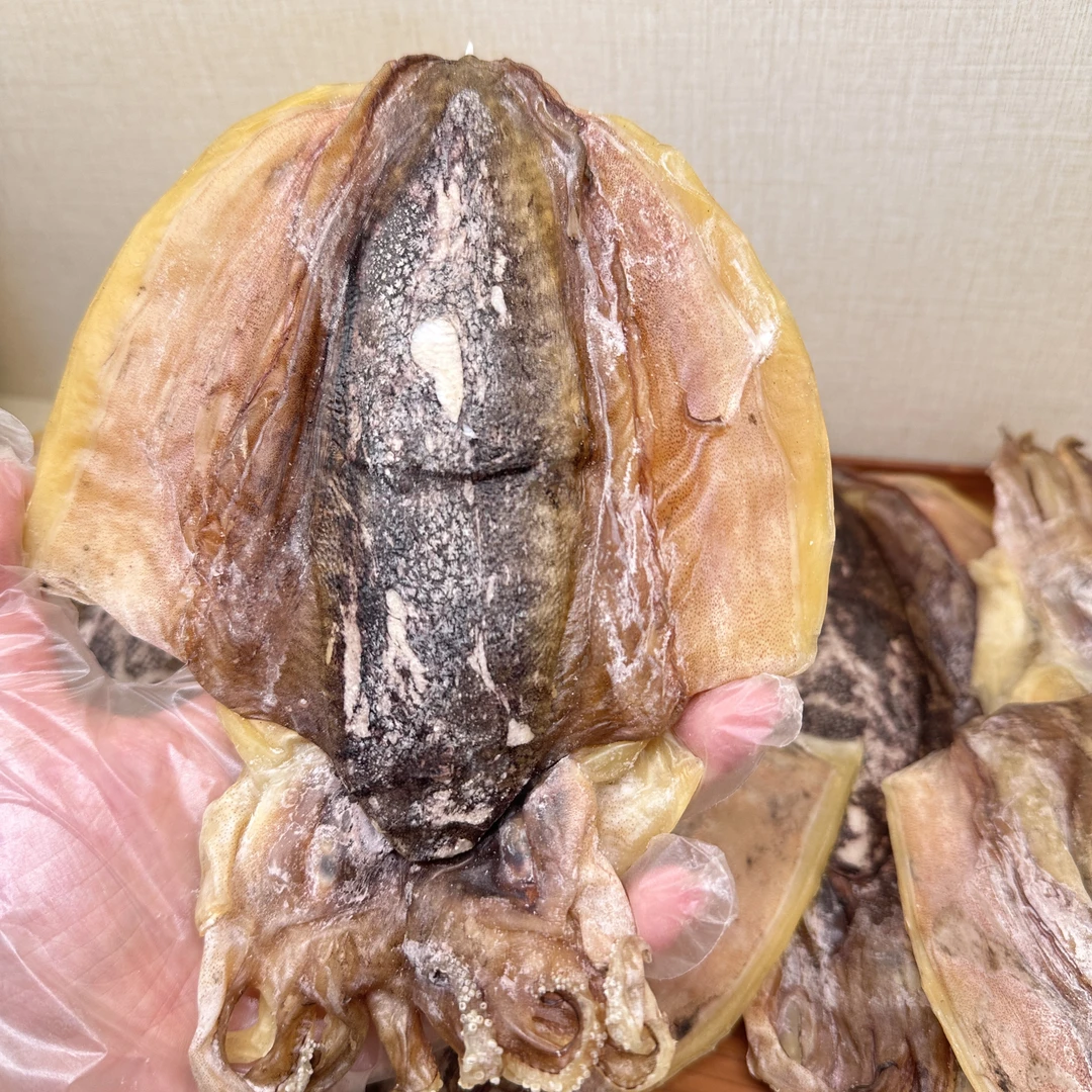 红皮墨鱼干 4-5/12-15头大墨鱼淡水口湛江淡晒大乌贼目鱼干煲汤