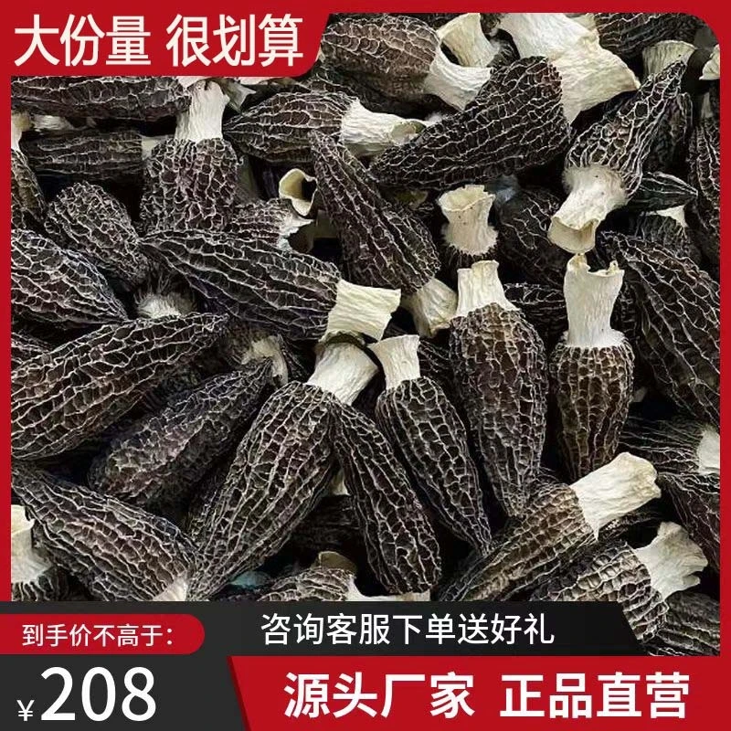 云南新货无硫干货羊肚菌农家干羊肚菌煲汤营养羊肚菇净重头茬牛排