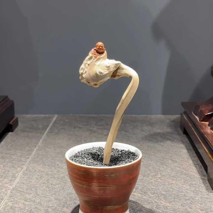 小***儿柏木（崖柏）嗯！好好哦好好噢哈哦是