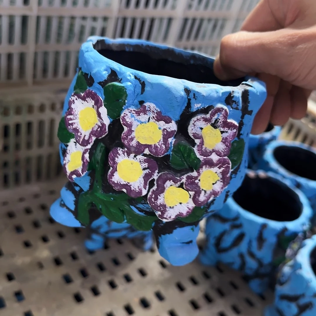 福利局绿植多肉盆［凑9元包邮24小时发］8033