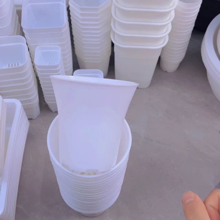 白万象口9高9一组20个