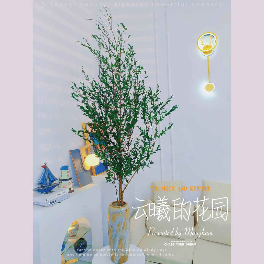 【云曦专属】细叶-尤加利叶 春天小清新绿植-澳洲进口永生花